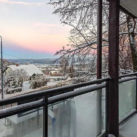 Widokowy Karpatia Z Garazem, 3 *