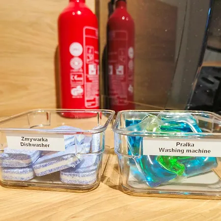 Widokowy Karpatia Z Garazem, 3